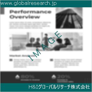 グローバルリサーチ調査資料のイメージ